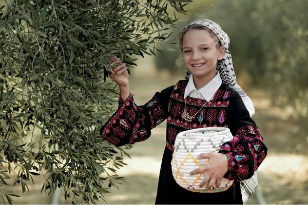 Bandırma’da Zeytin Üretimi Takibi